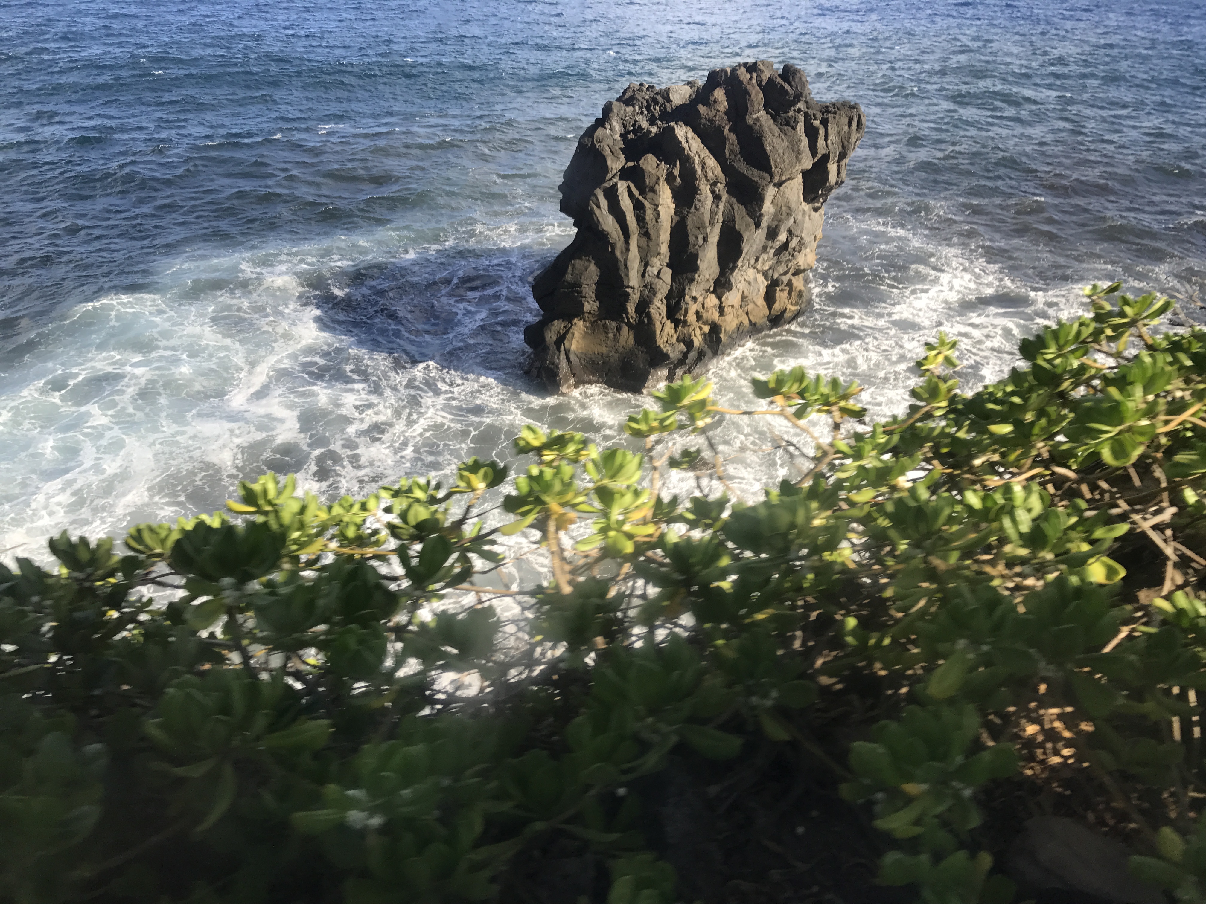 Why You Need To Do A Tour On The Road To Hana - Wander Wonder Wonton